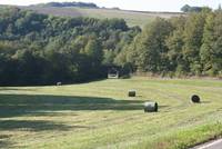 Hilscheid