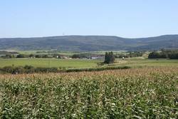 Blick auf Immert