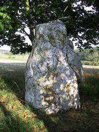 Monolith