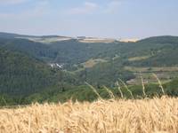 Dhrontal