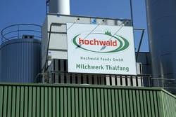 Hochwald