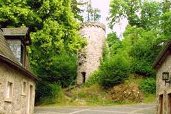 Burg Dhronecken
