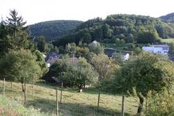 Blick auf Gräfendhron